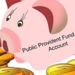 How Does A PPF Calculator Function?