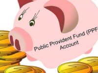 How Does A PPF Calculator Function?